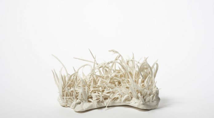 Katie Spragg